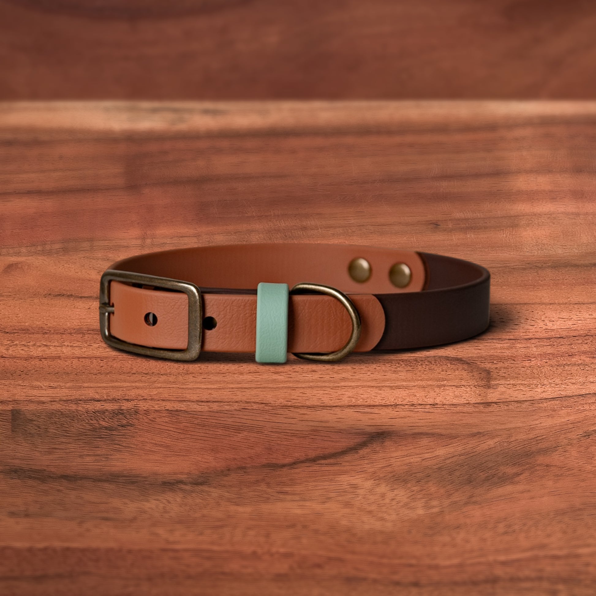 Toasted Earth Buckle Collars - FoxMoth - Pet Collars & Harnesses