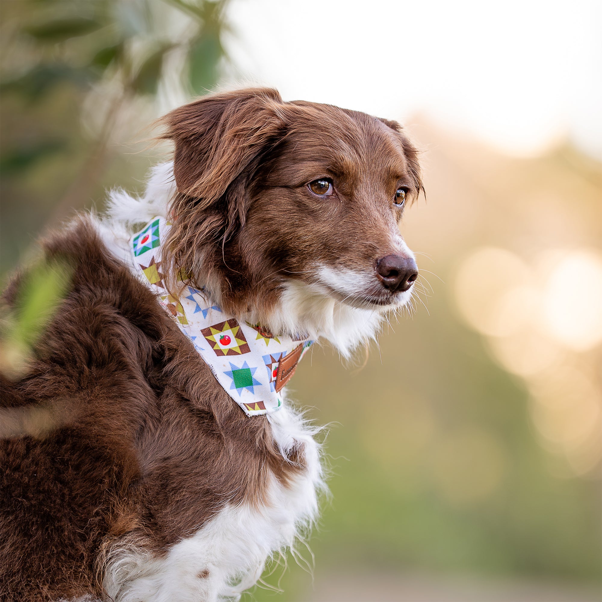 Tomato Bears Bandana - FoxMoth - Bandana