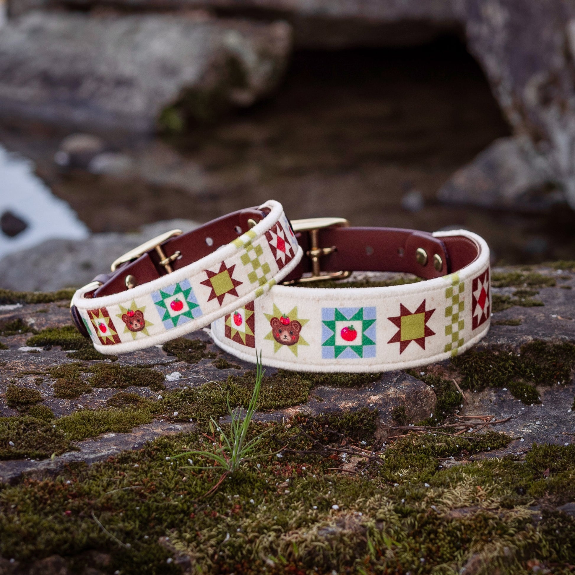 tomato bears collar - FoxMoth - Leather Dog Collar