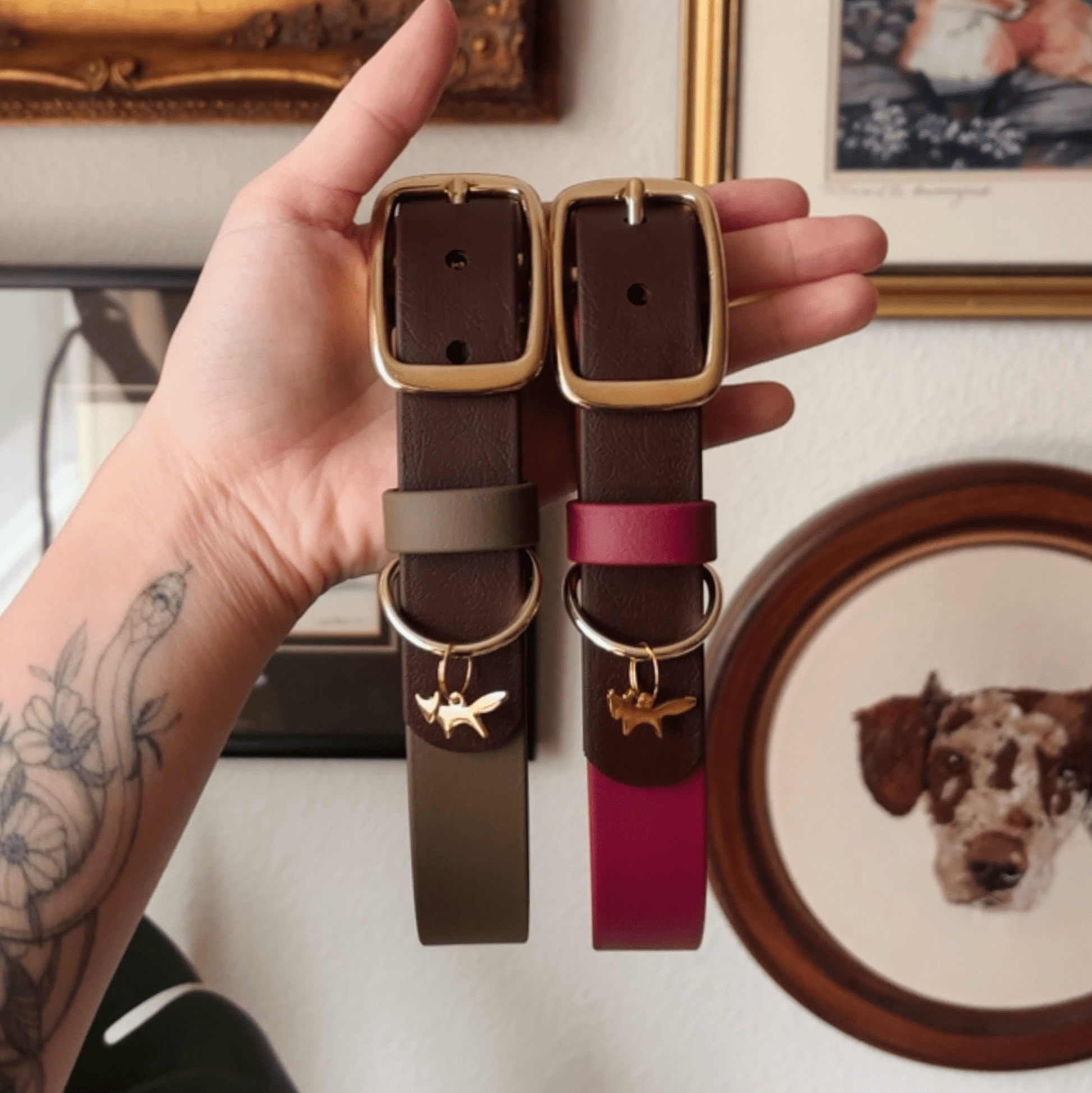 custom waterproof buckle collar - FoxMoth - Pet Collars & Harnesses