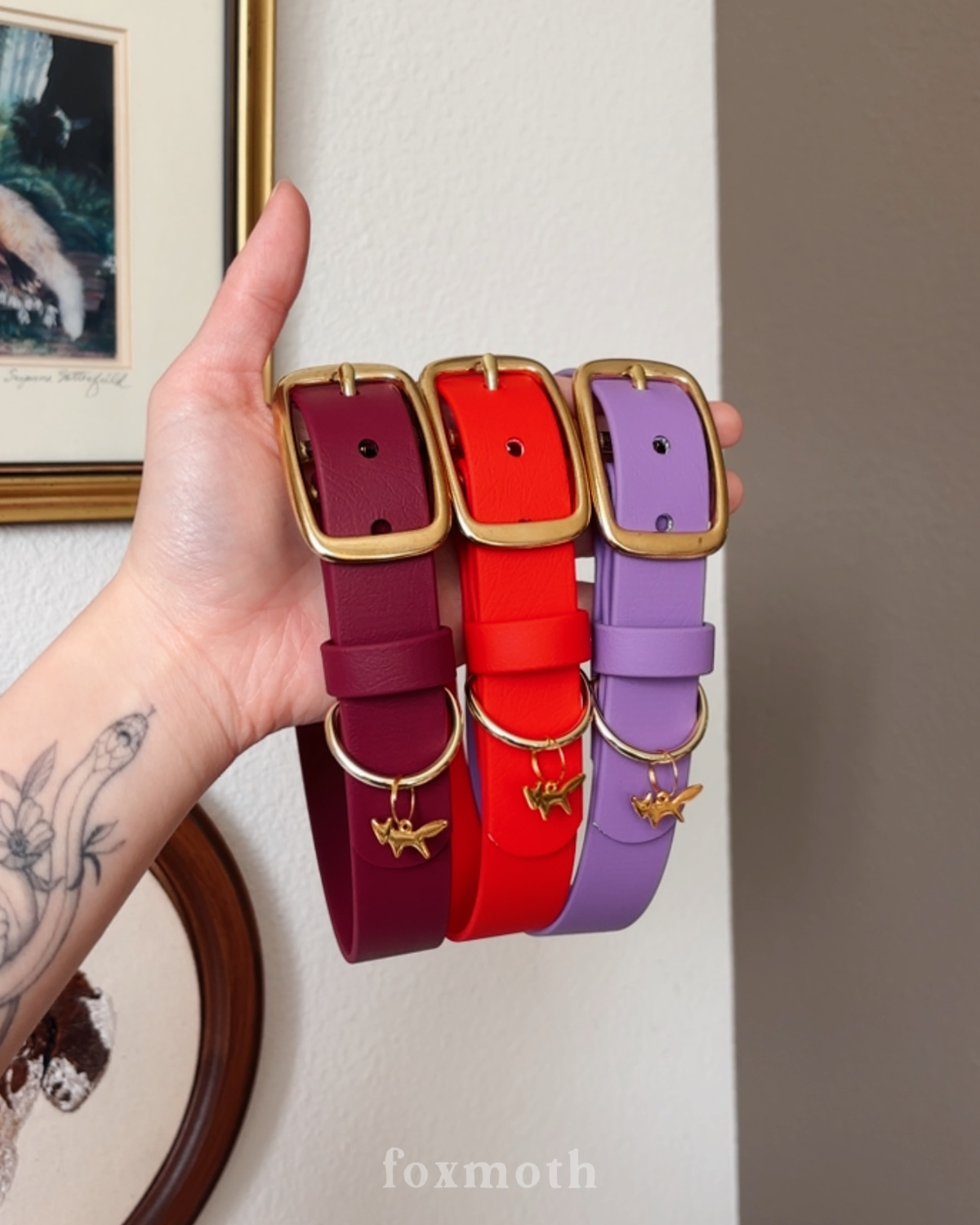 merlot buckle collar