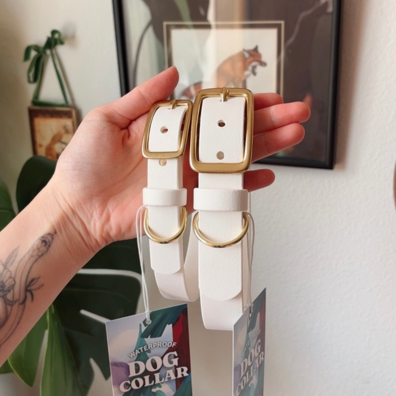 white buckle collar - FoxMoth - Pet Collars & Harnesses