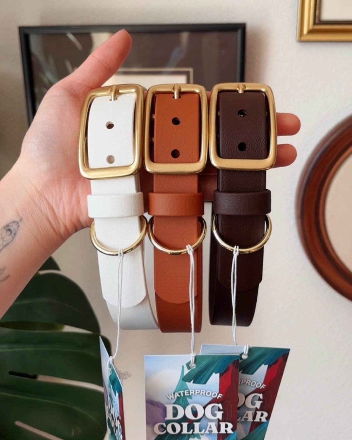 white buckle collar - FoxMoth - Pet Collars & Harnesses