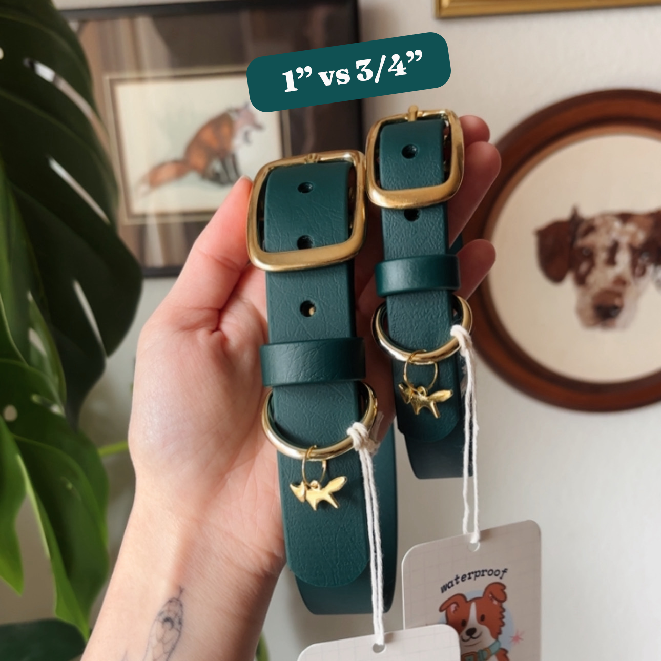 Cosmic Berry Buckle Collar