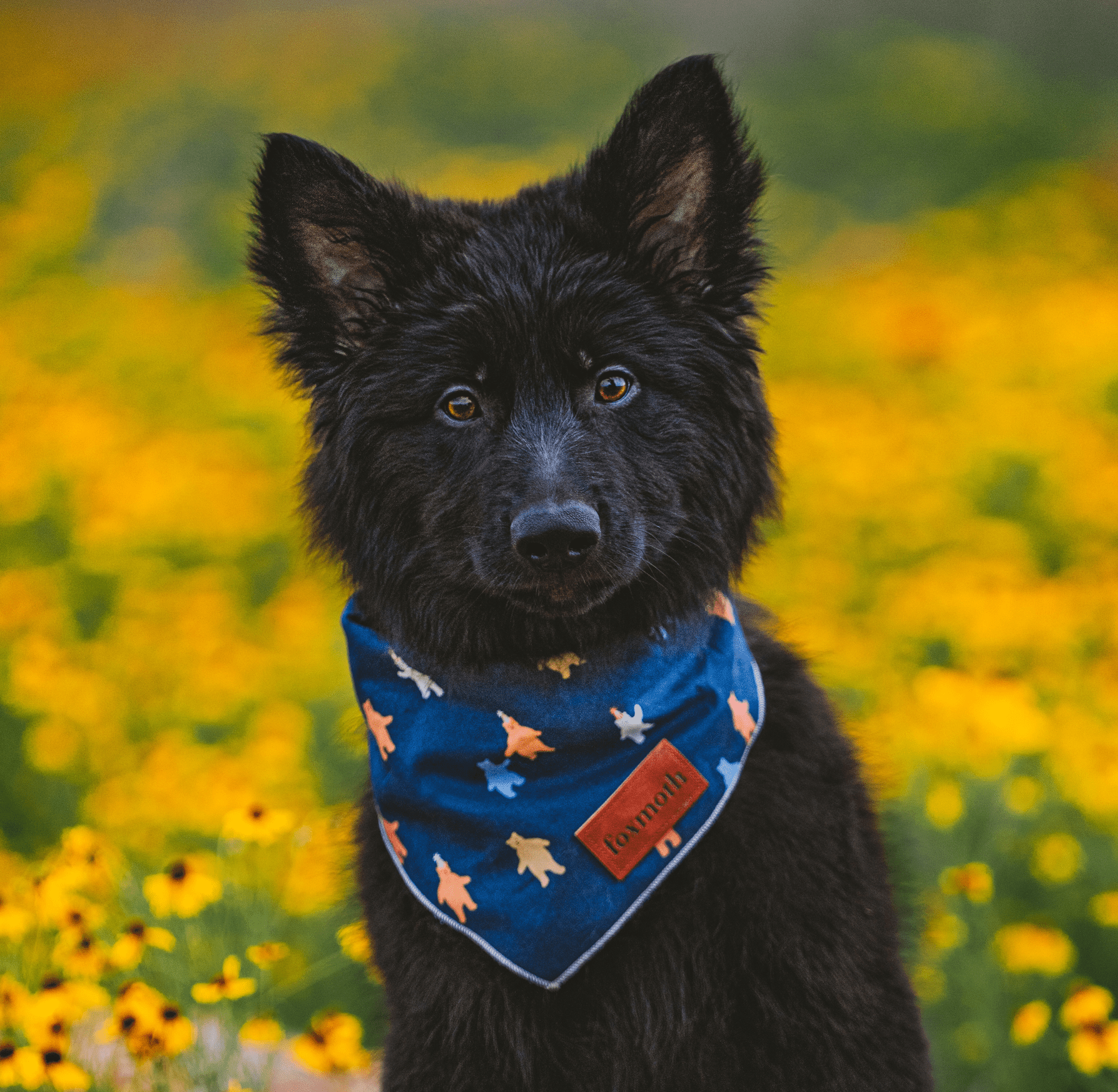 party bears bandana - FoxMoth - Bandana