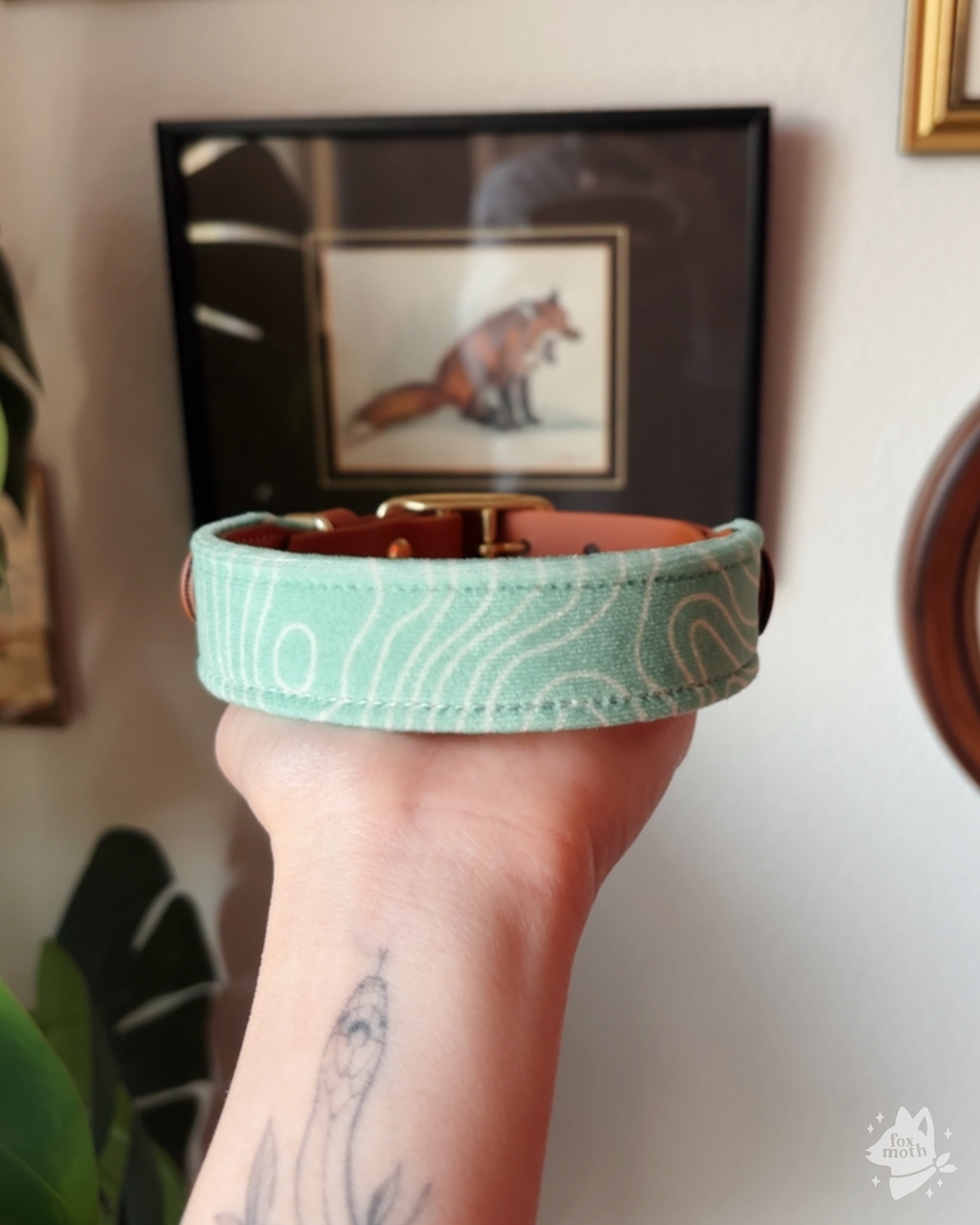 Compass Collar - FoxMoth - Leather Dog Collar