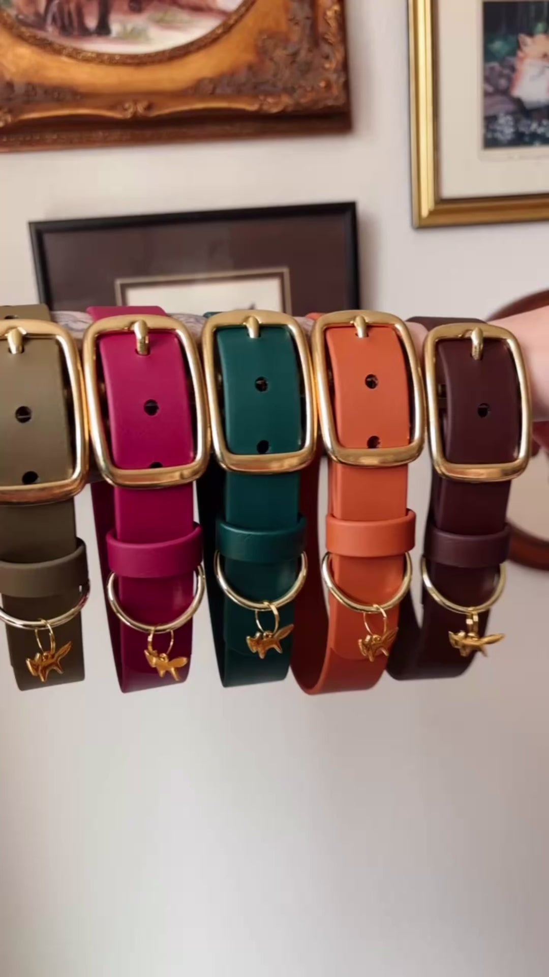 Load video: merlot buckle collar