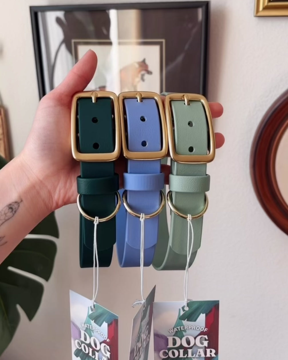 Load video: Sage Buckle Collar