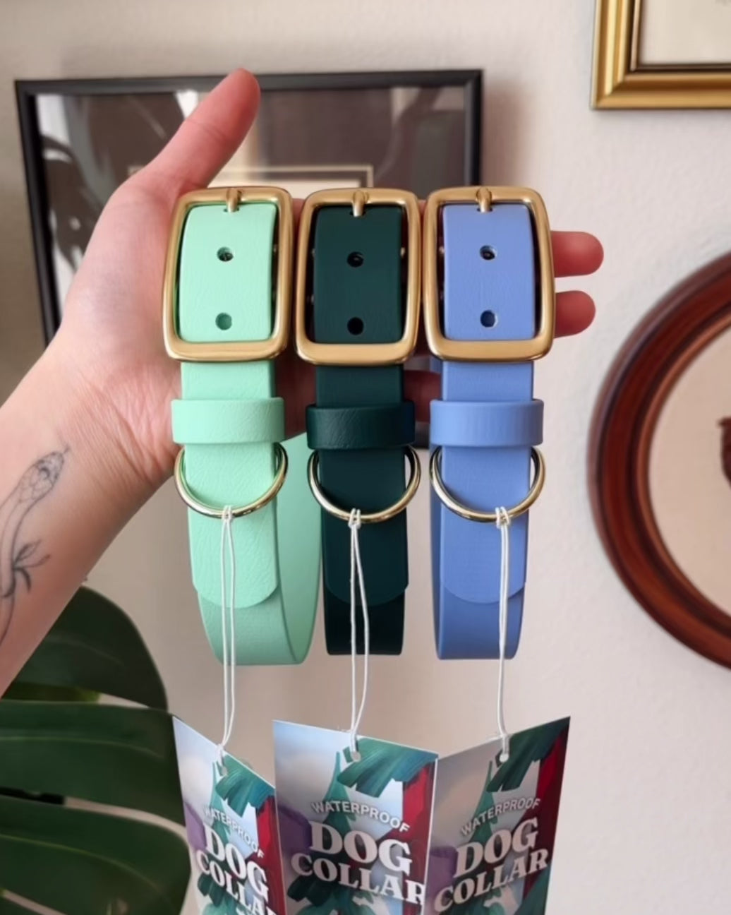 Load video: iris buckle collar