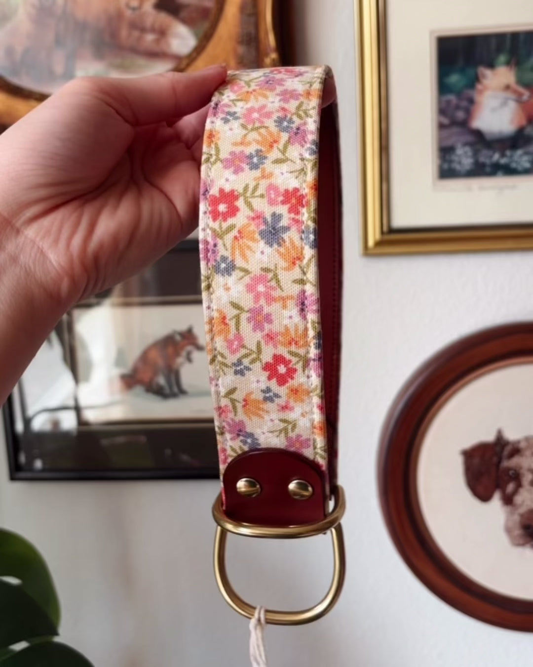 Load video: Custom Full Slip Collar