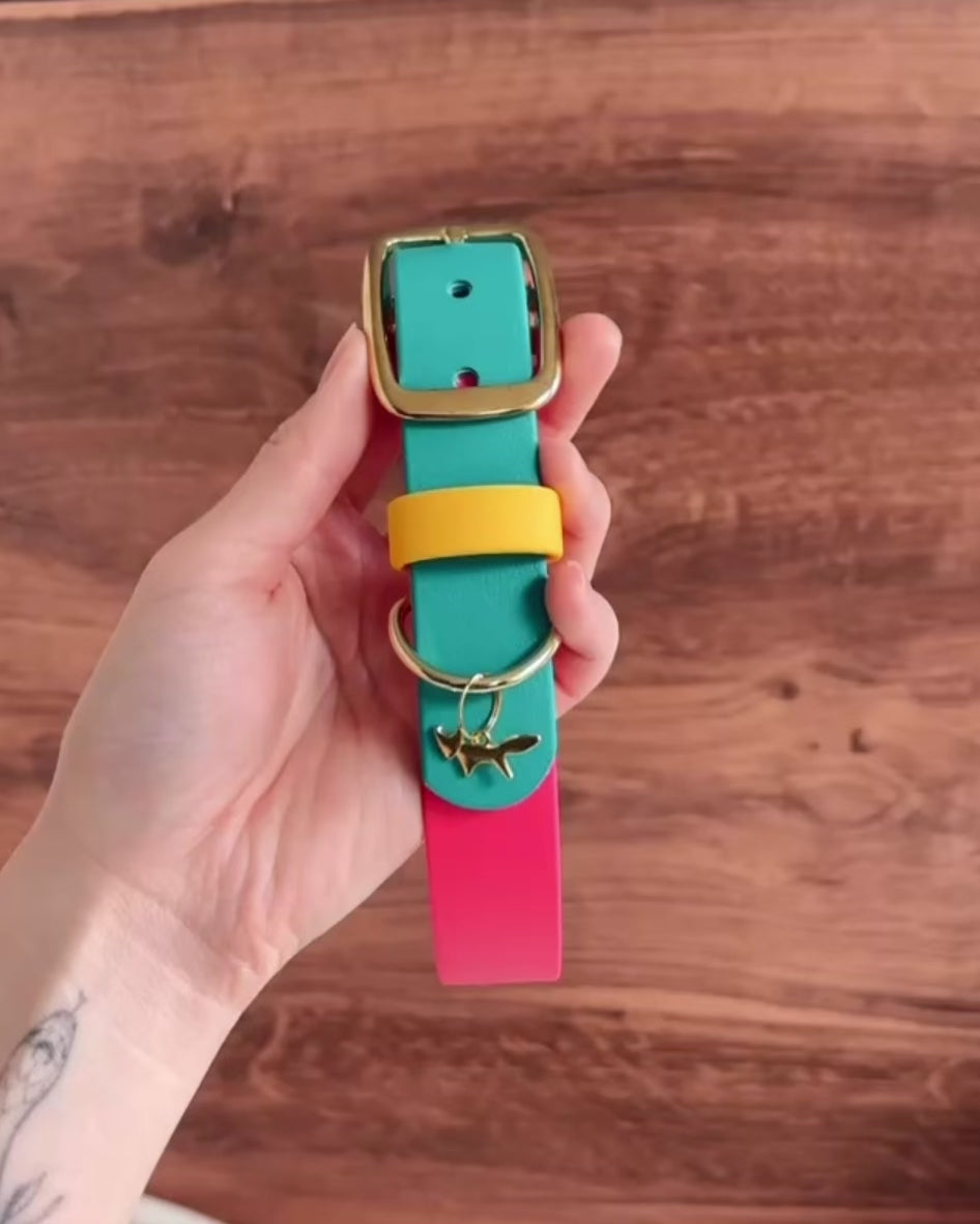 Load video: Modern Retro Buckle Collar