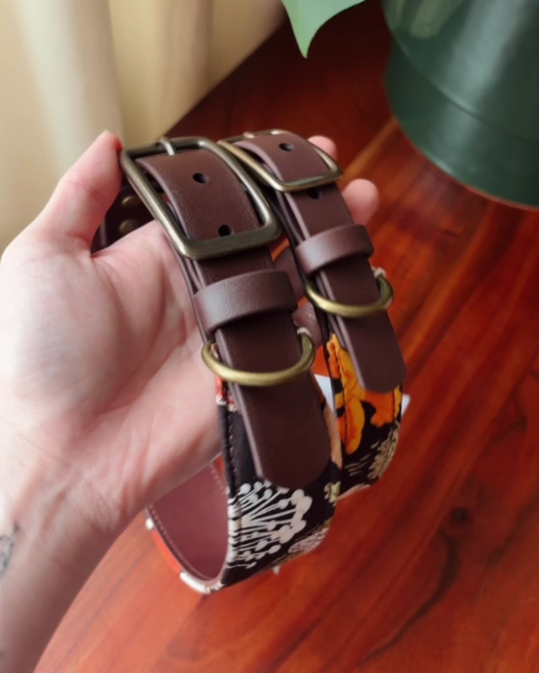 Load video: forager collar