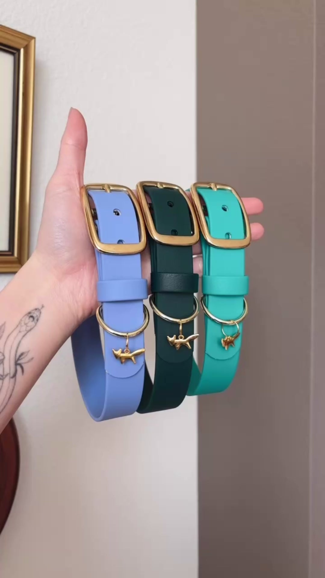 Load video: iris buckle collar