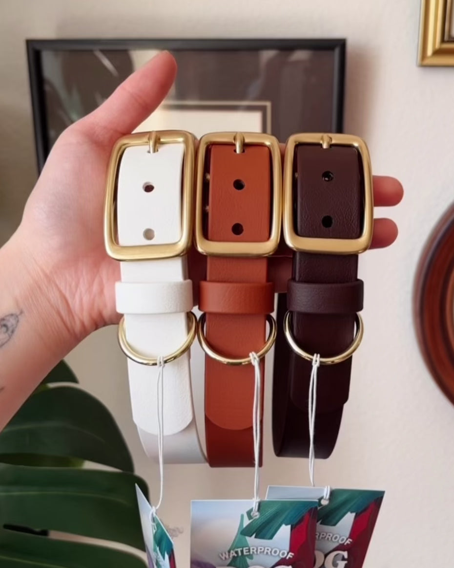 Load video: Cloud Buckle Collar