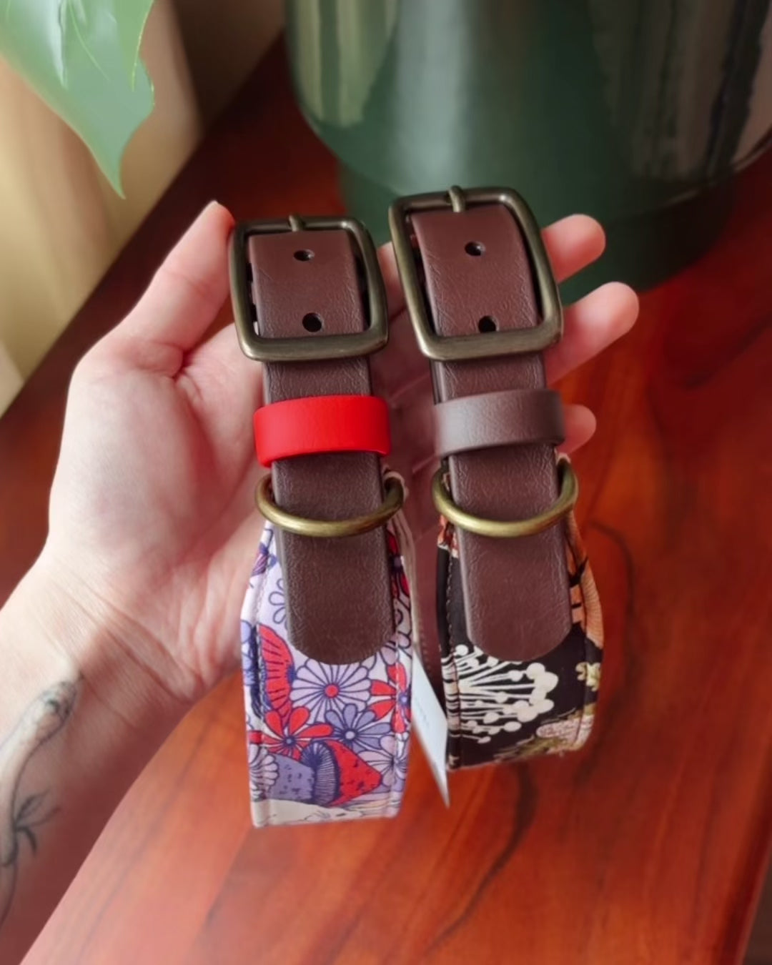 Load video: Forager Collar
