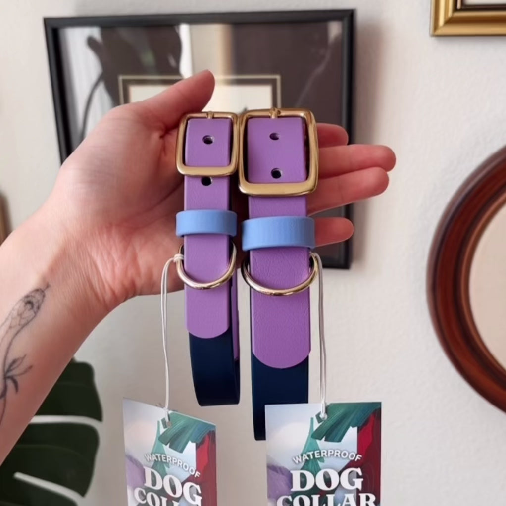 Load video: Cosmic Berry Buckle Collar