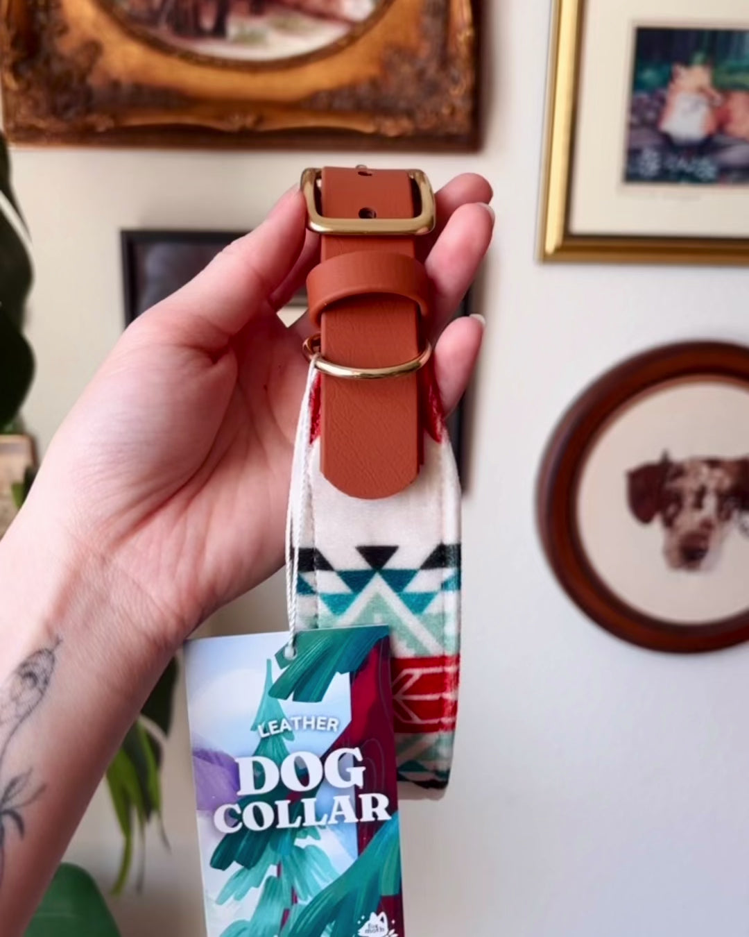 Load video: rainier collar