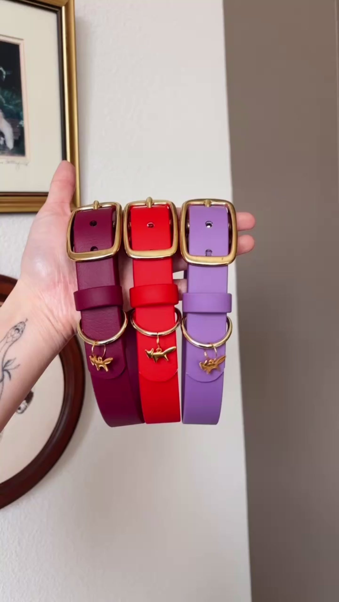 Load video: lucky buckle collar