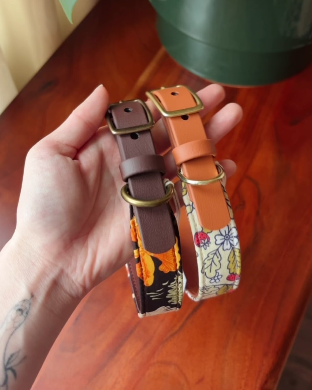 Load video: Forager Collar