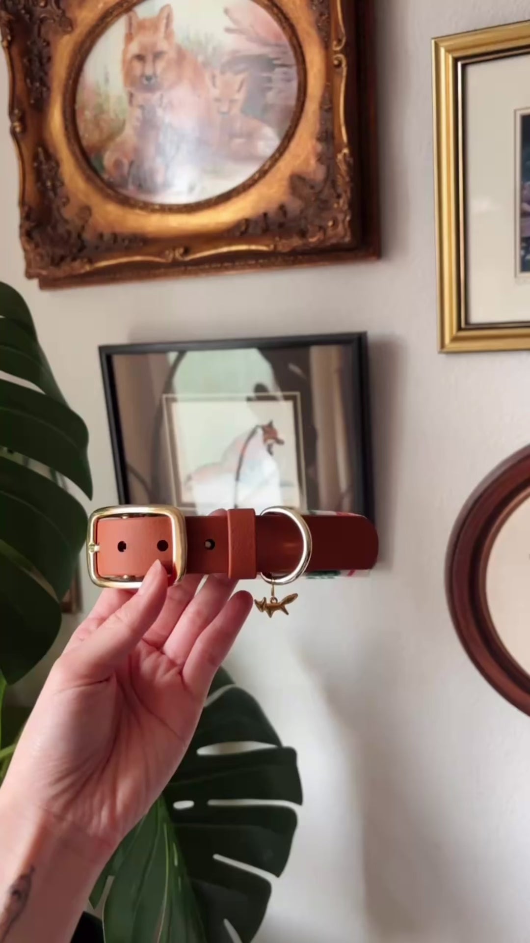 Load video: classic foxmas