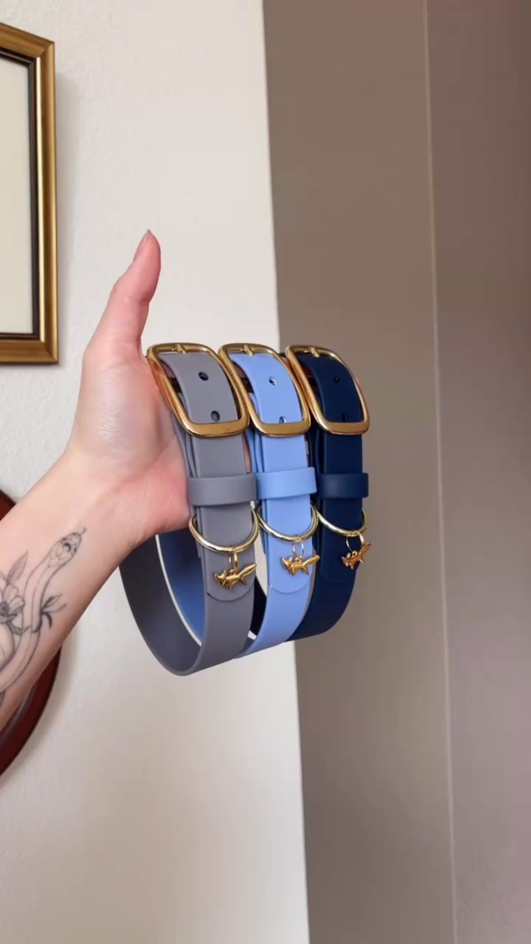 Load video: iris buckle collar