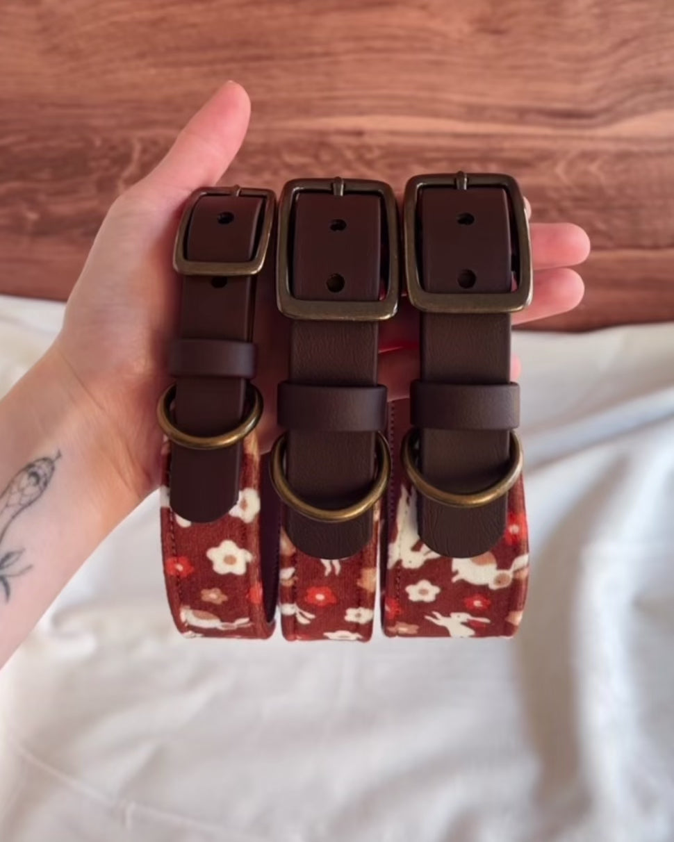 Load video: year of the rabbit collar