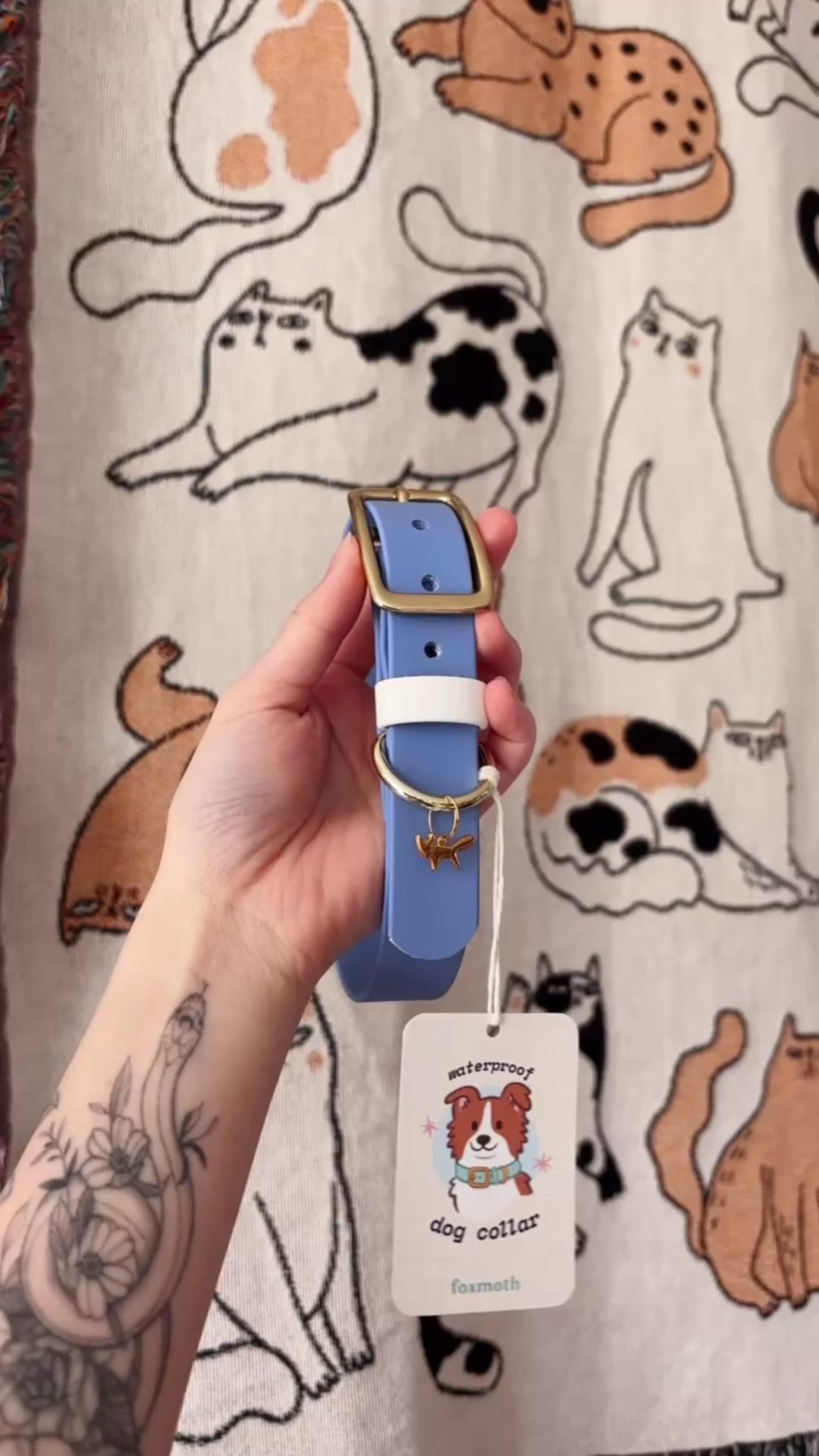 Load video: custom waterproof buckle collar