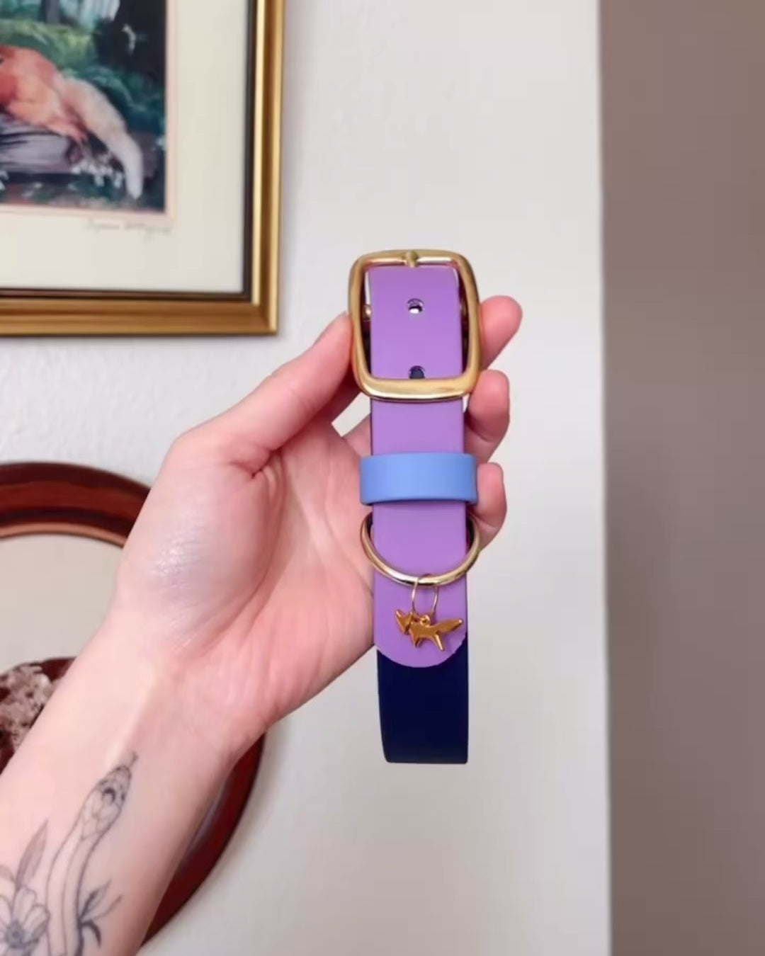 Load video: Cosmic Berry Buckle Collar