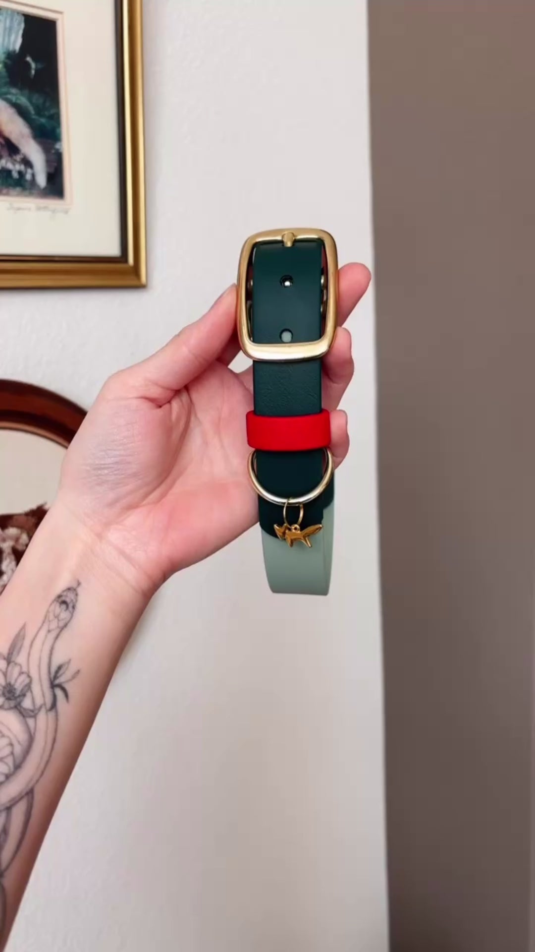 Load video: Strawberry Matcha Buckle Collar