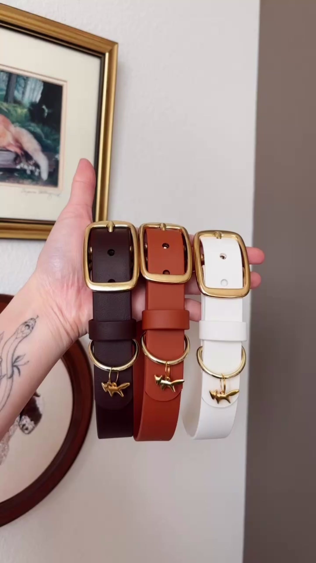 Load video: sienna buckle collar