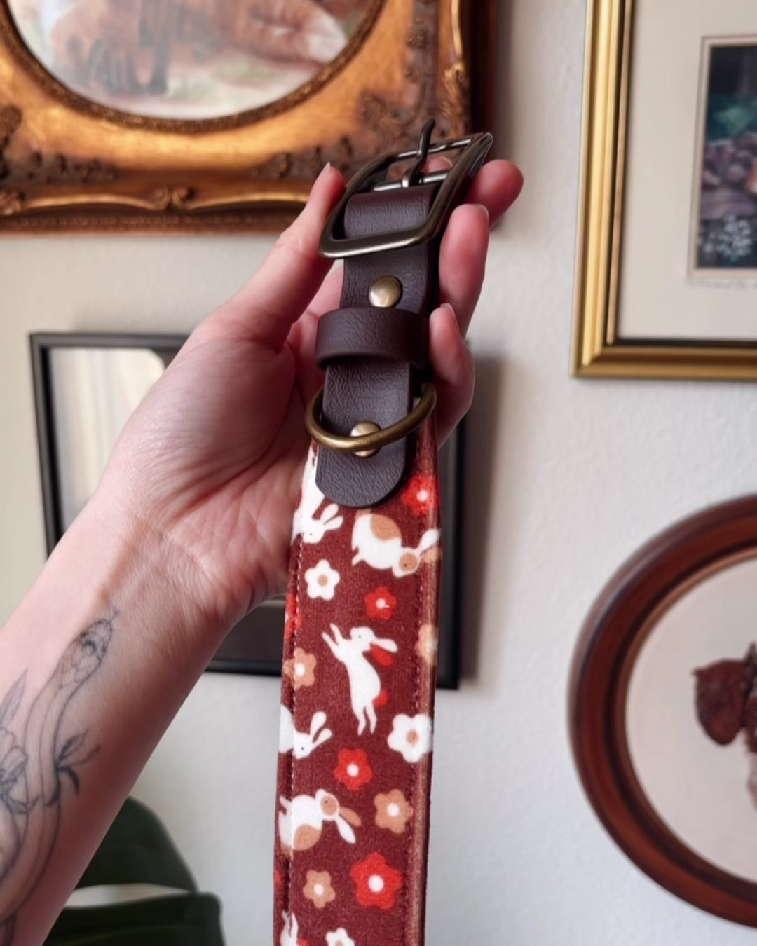 Load video: year of the rabbit collar