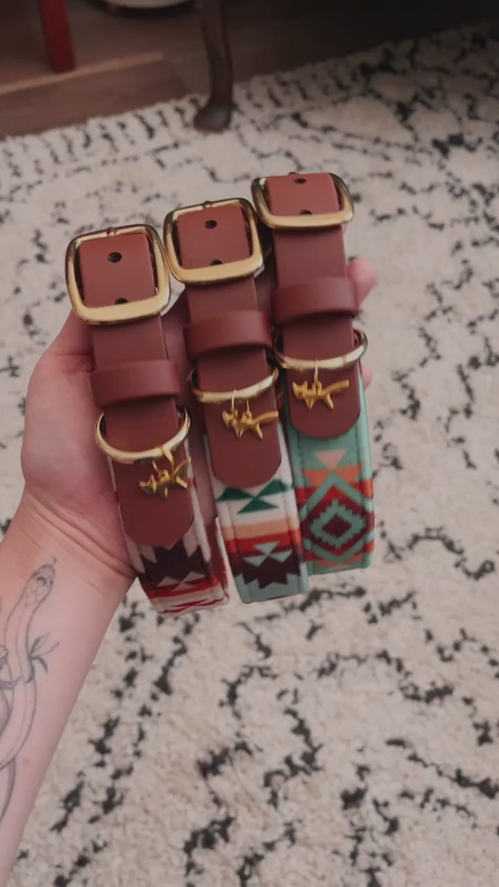 Load video: custom fabric buckle collar
