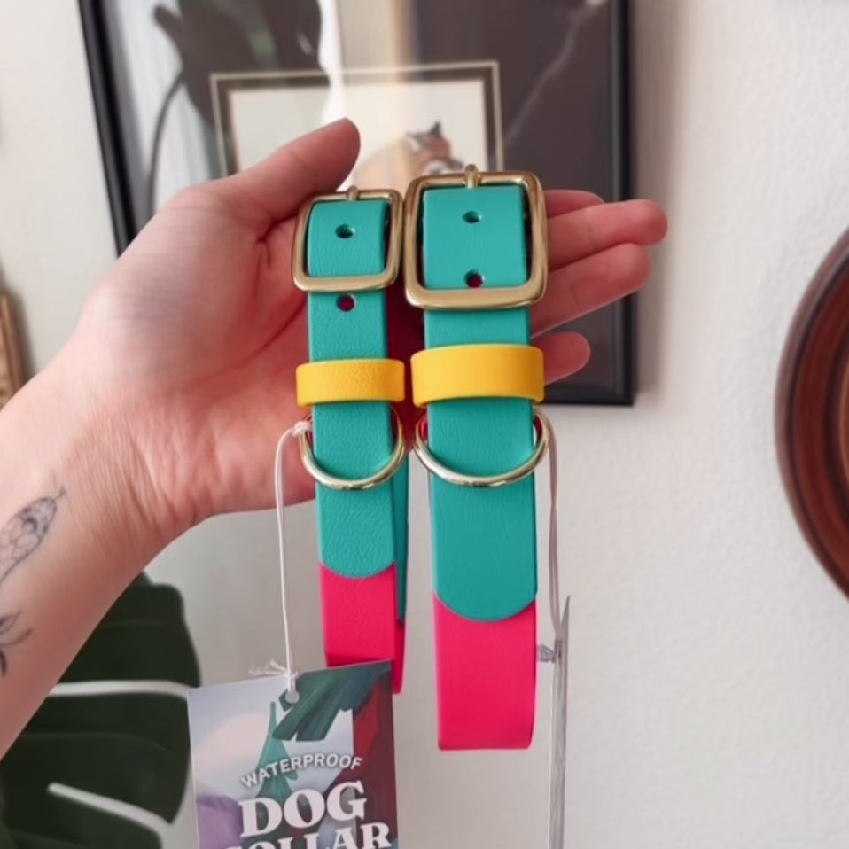 Load video: Modern Retro Buckle Collar