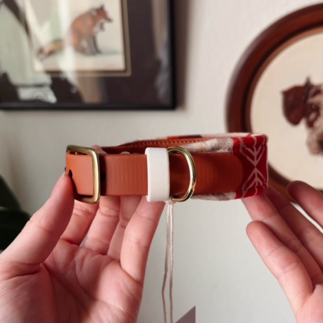 Load video: sedona collar