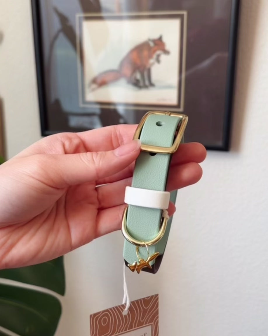 Load video: custom waterproof buckle collar