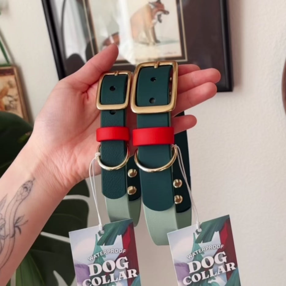 Load video: Strawberry Matcha Buckle Collar