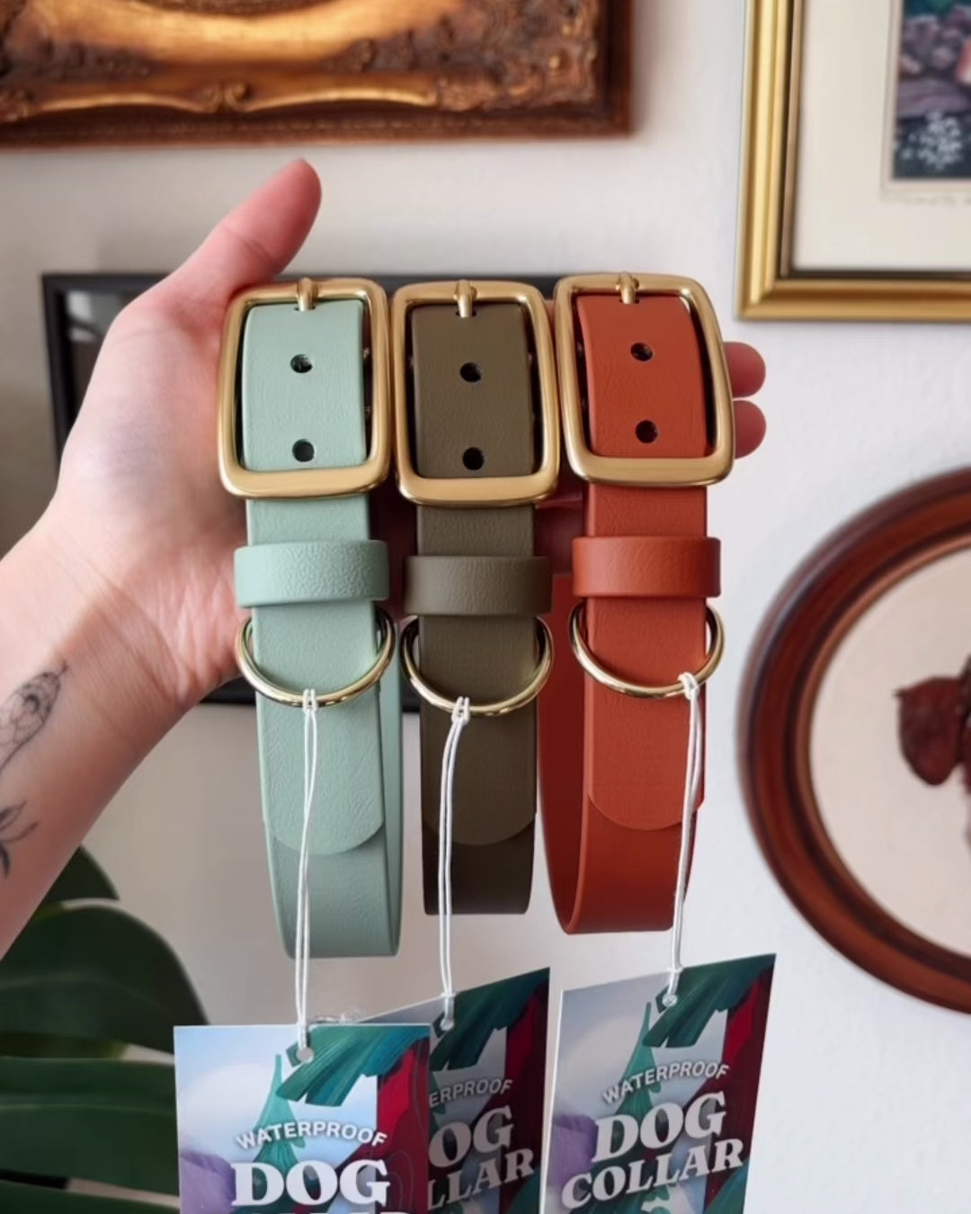 Load video: Sienna Buckle Collar
