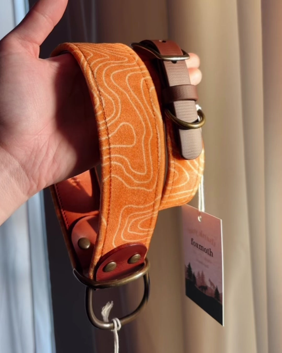 Load video: compass collar