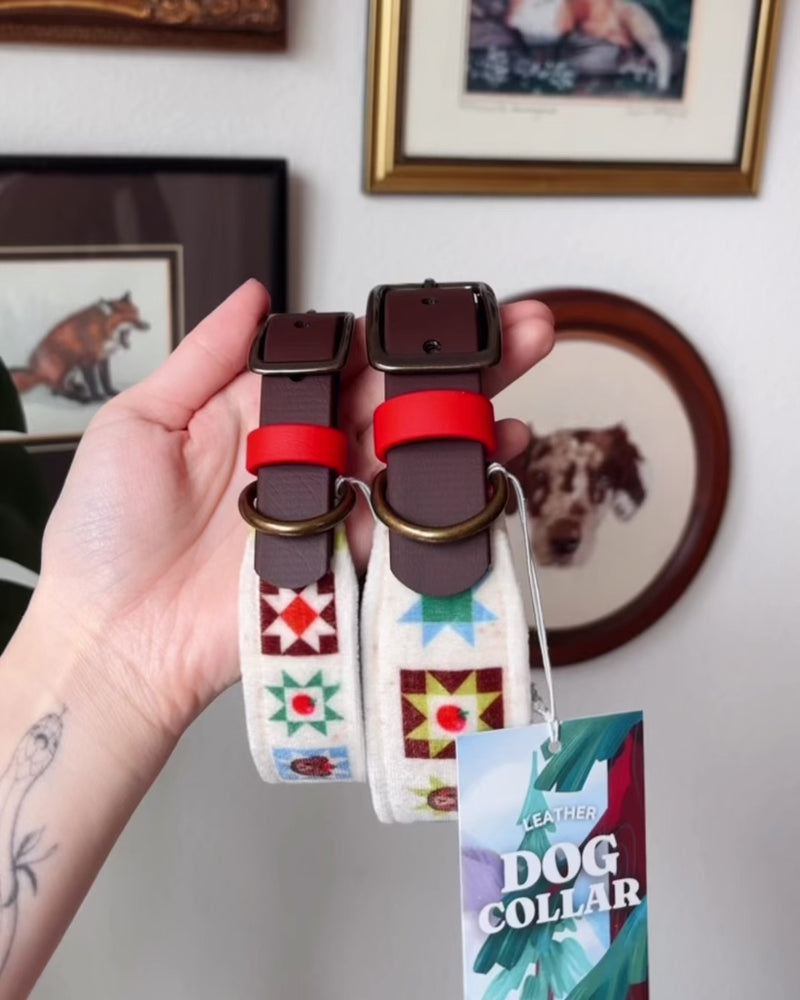 FoxMoth Premium Leather Dog Collar with Solid Brass Hardware with Tomato Bears Velvet Fabric