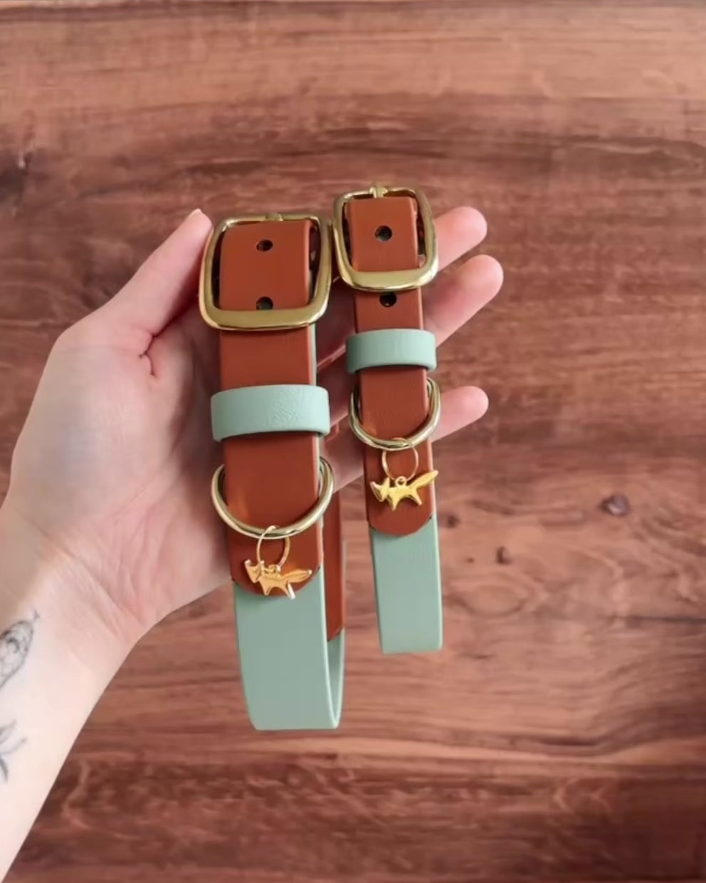 Load video: custom waterproof buckle collar