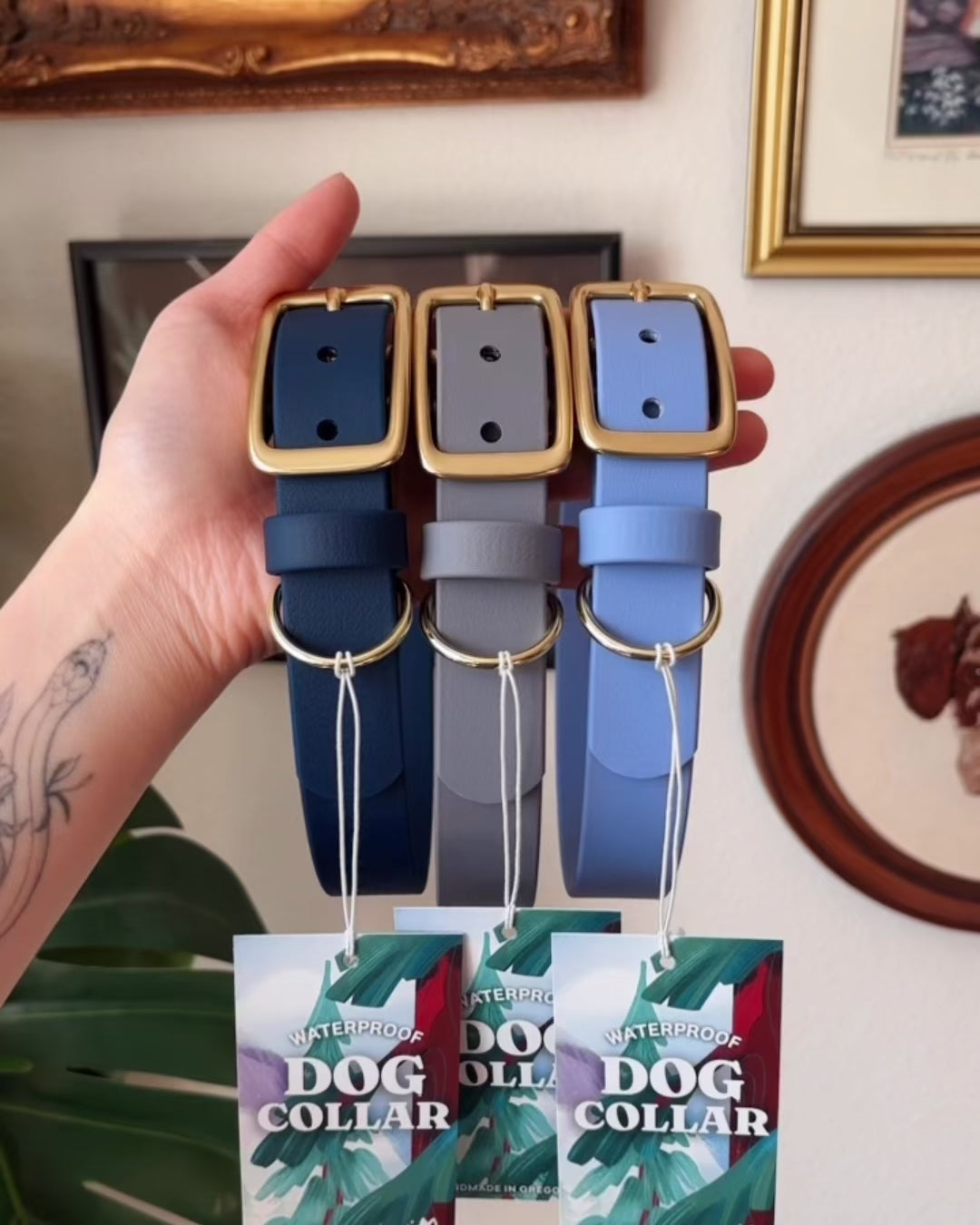 Load video: iris buckle collar