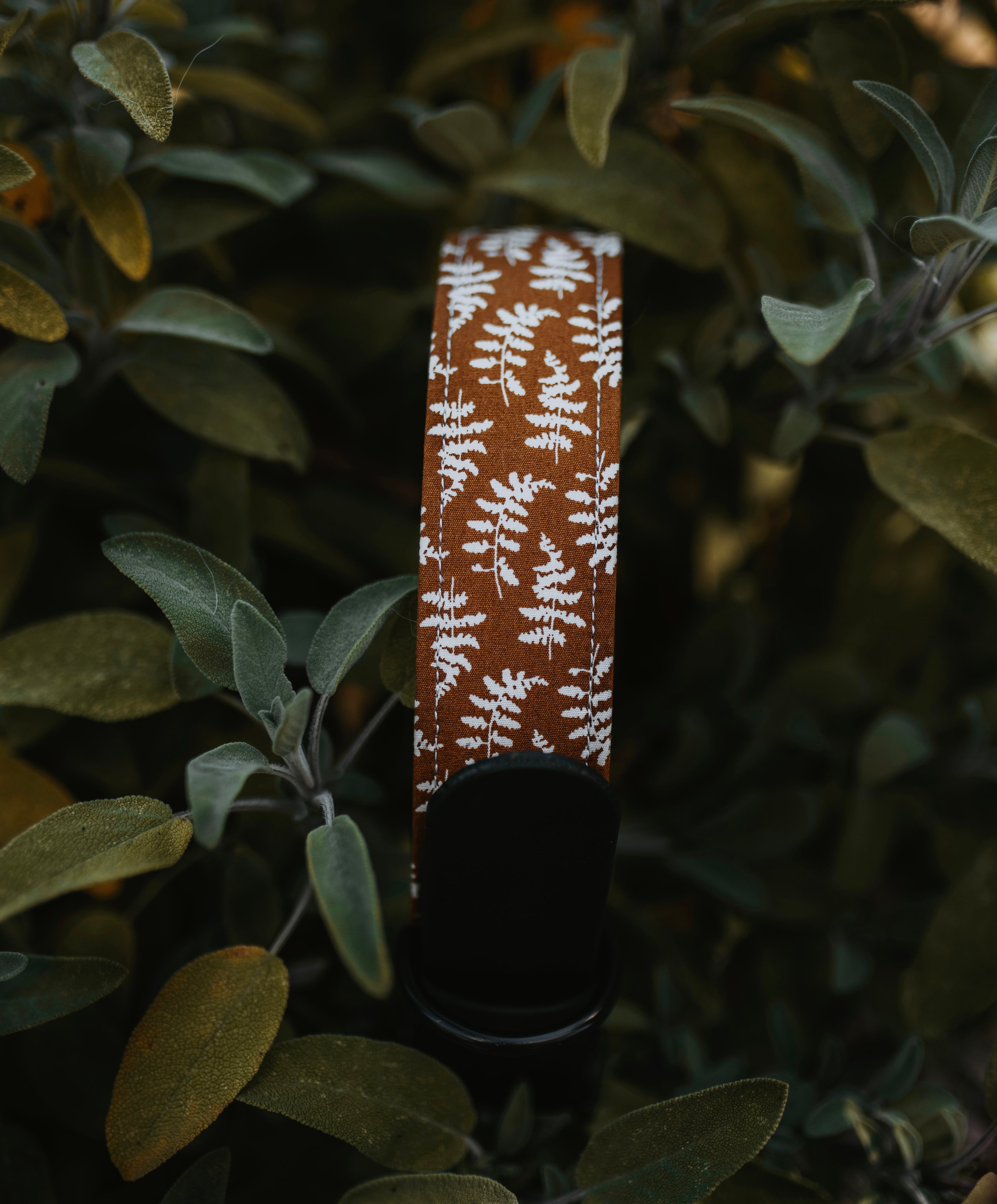 custom fabric buckle collar
