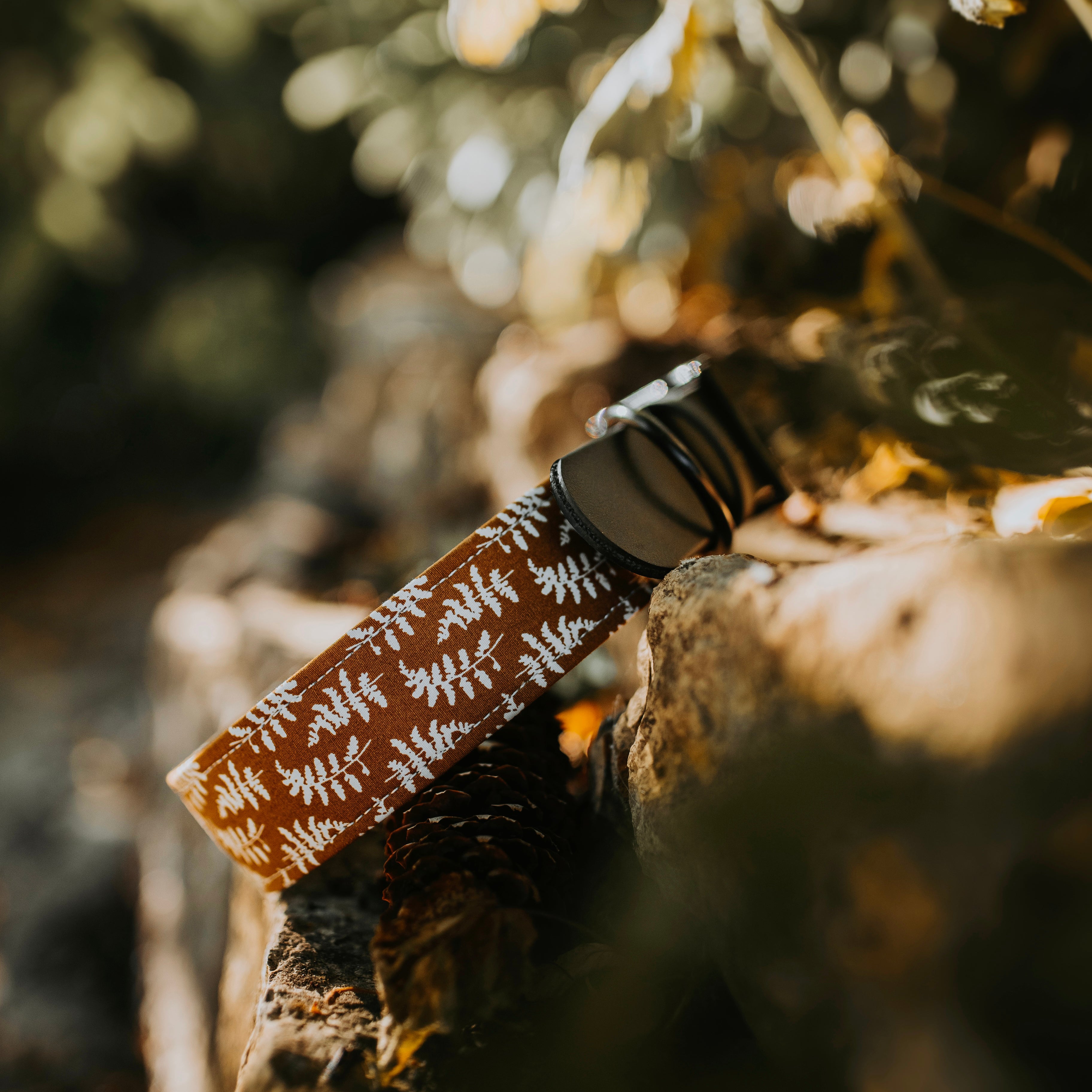 custom fabric buckle collar