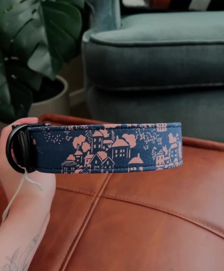 Load video: custom fabric buckle collar
