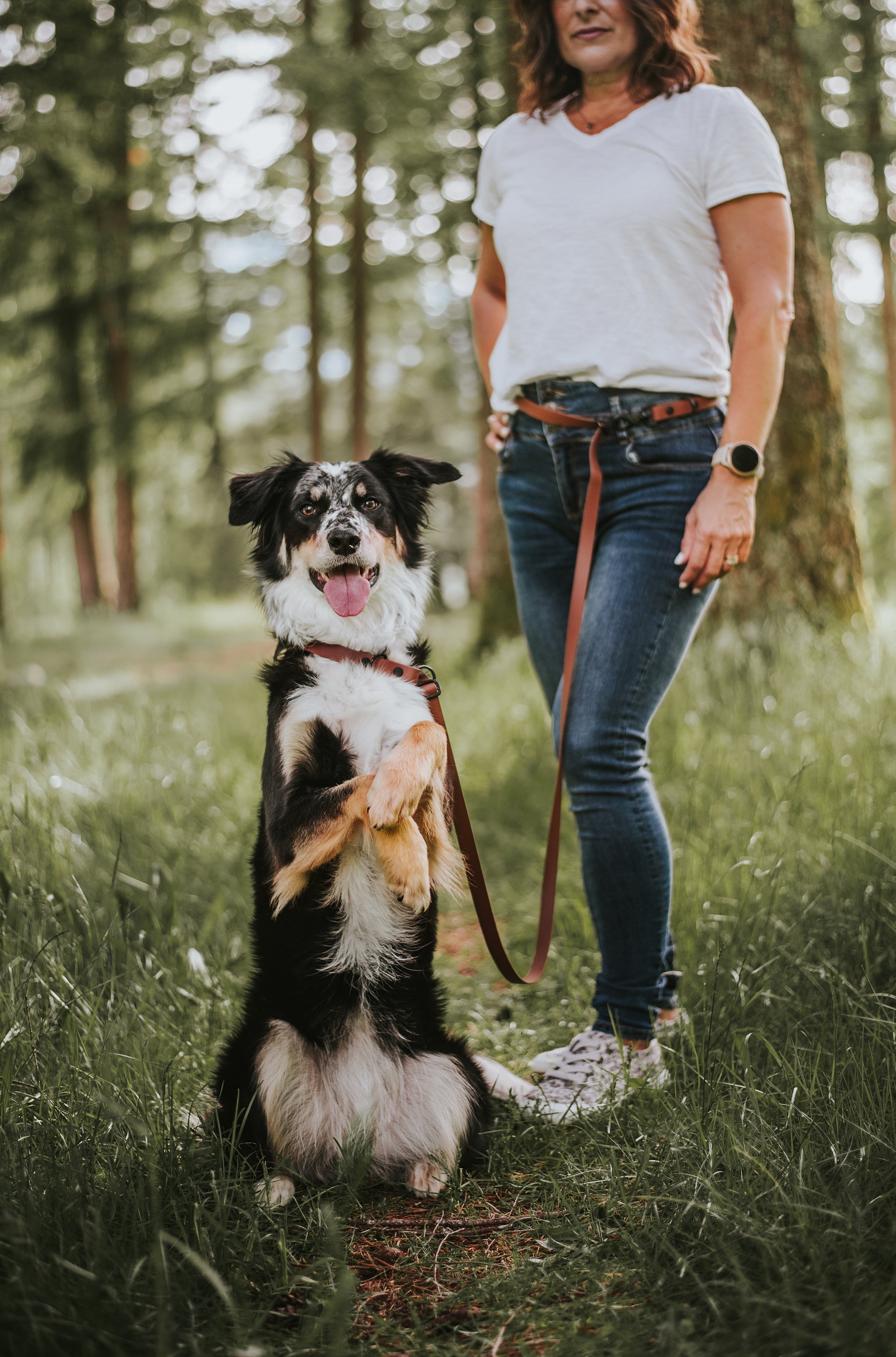 custom hands free leash