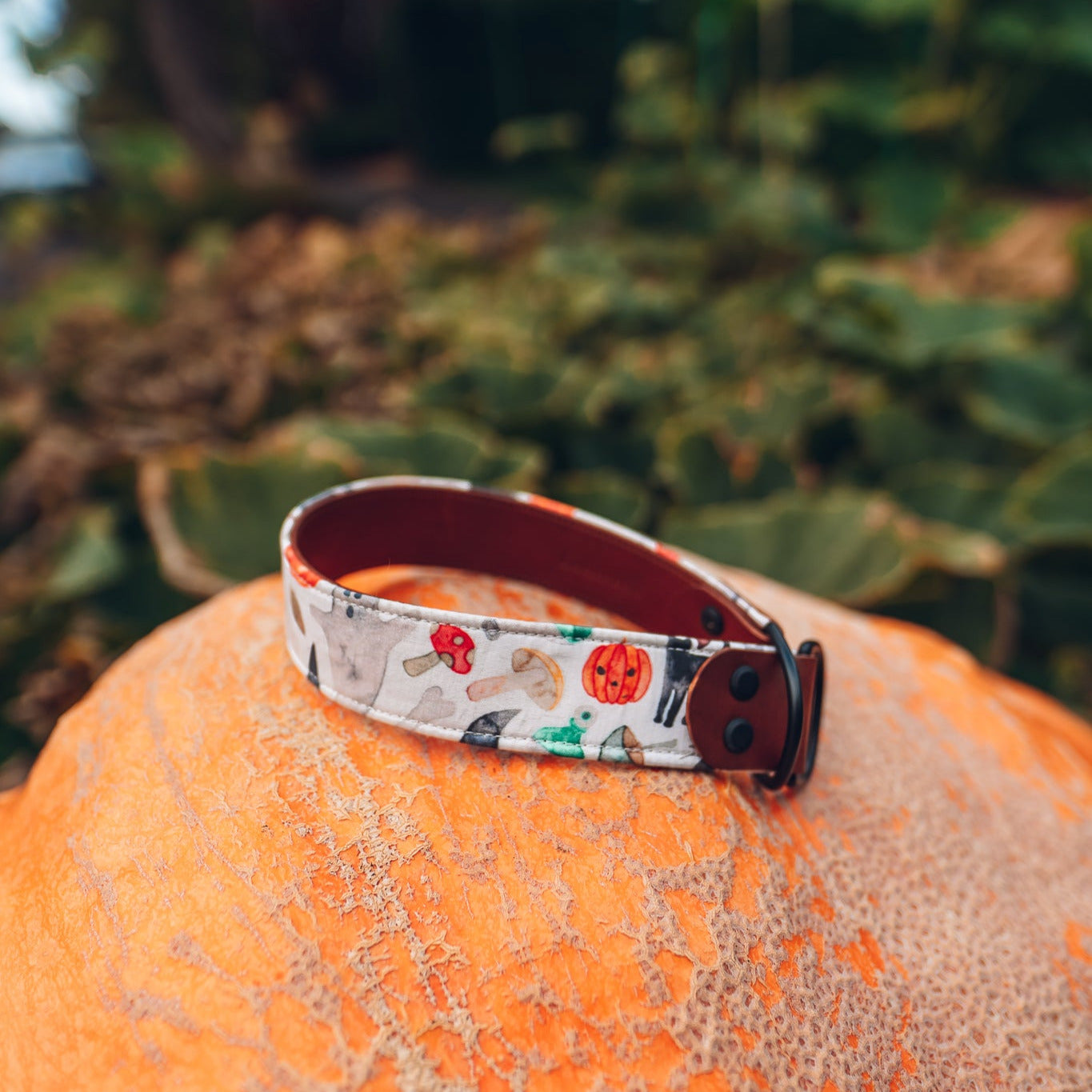 custom halloween collar