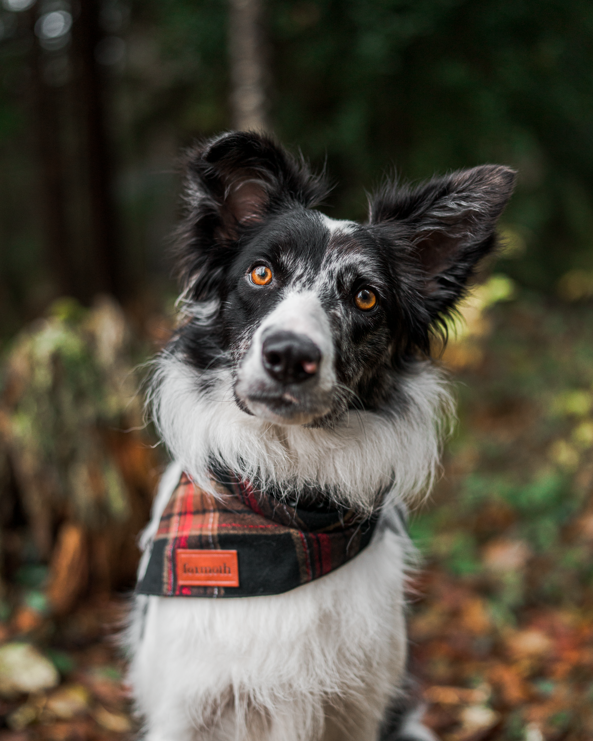warm flannel