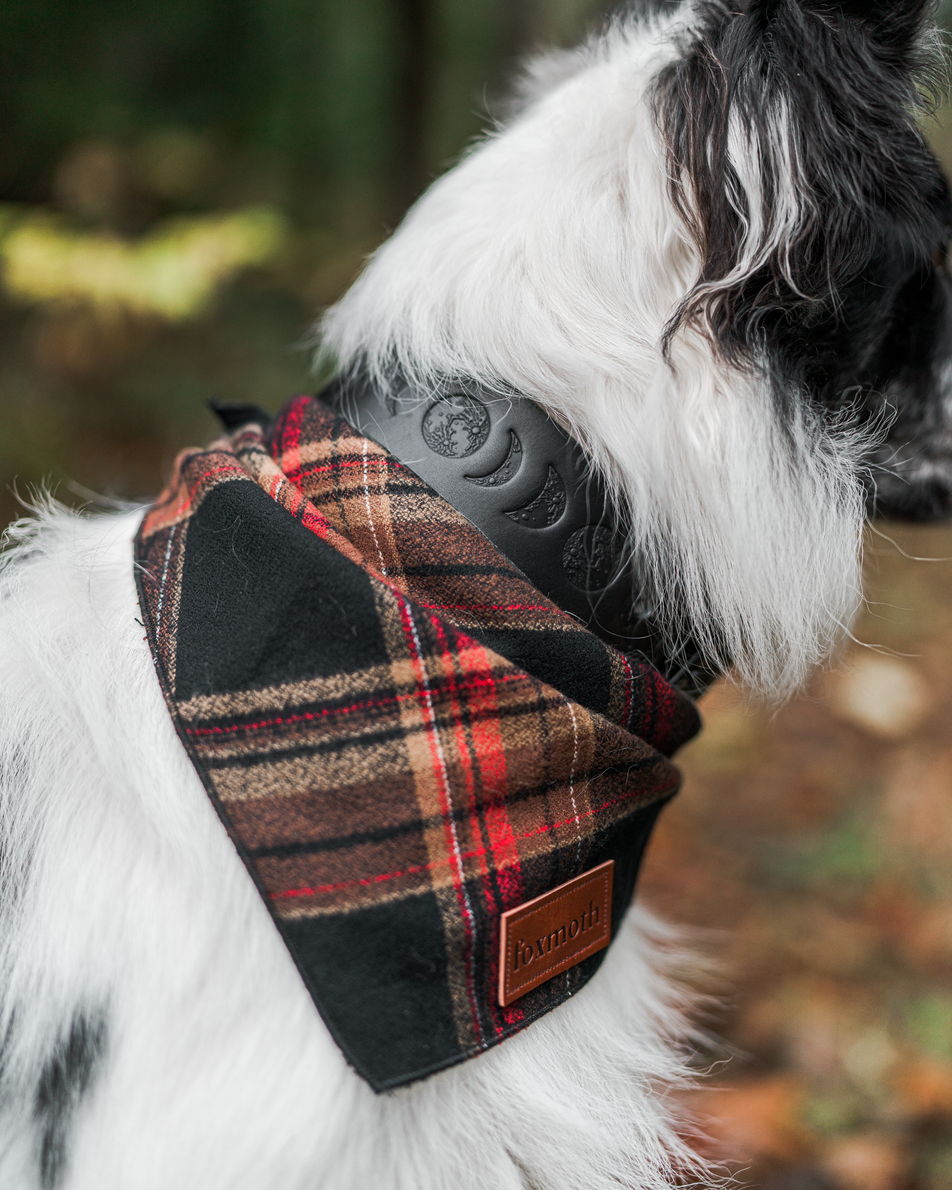 warm flannel