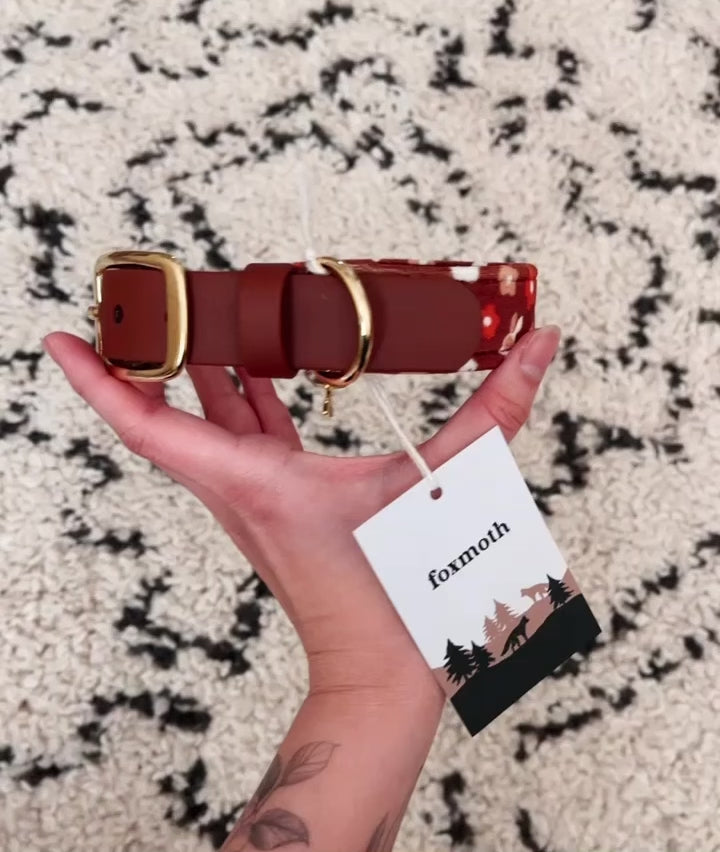 Load video: custom fabric buckle collar