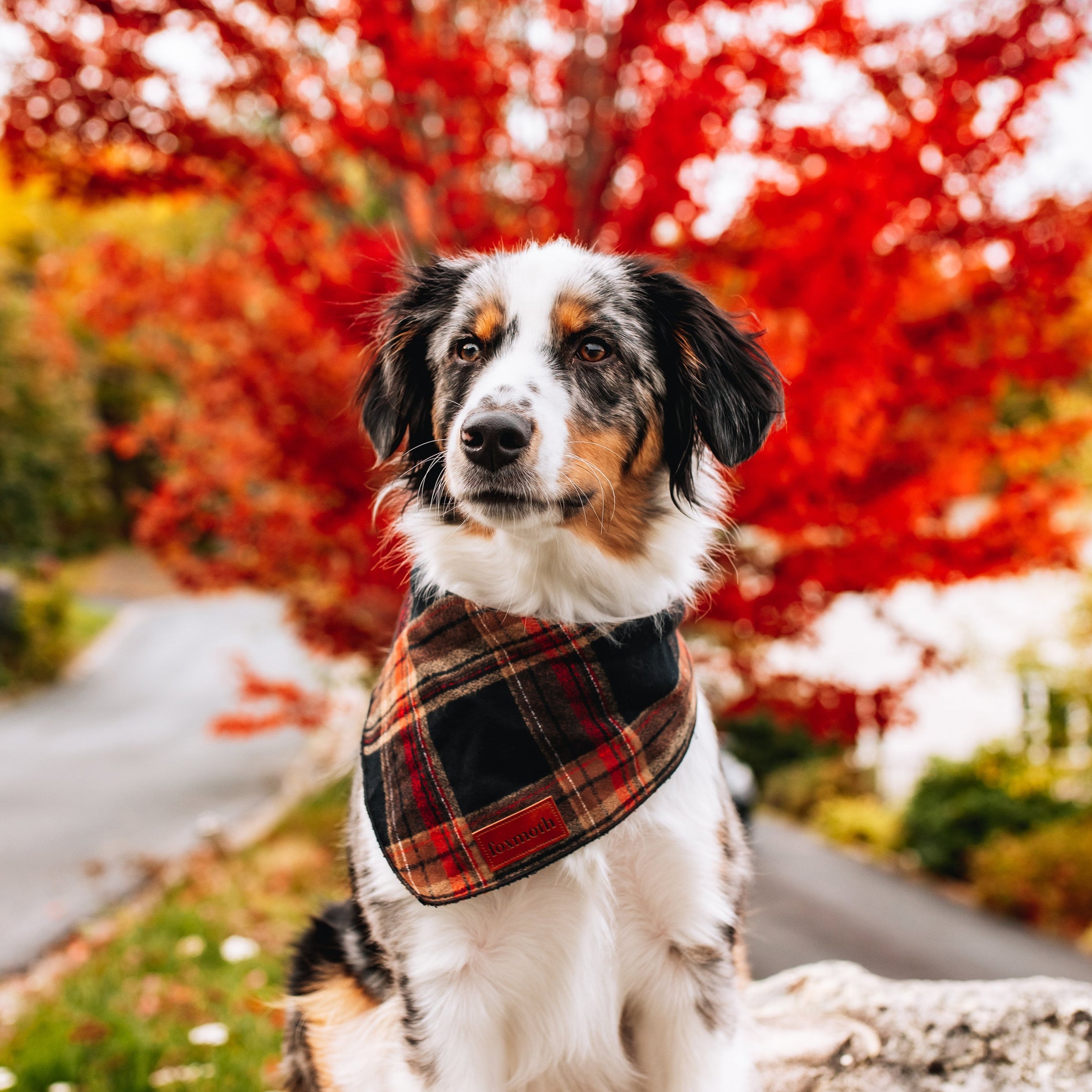 warm flannel